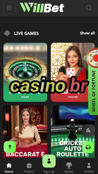 Casino BR - Play with Bitcoin & Crypto-777casinobus.ydblkf.net
